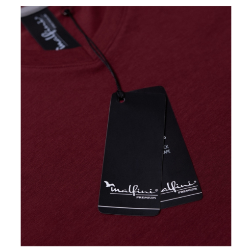 Tričko pánske - Action V-neck 700